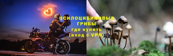 ГАЛЛЮЦИНОГЕННЫЕ ГРИБЫ Алексеевка