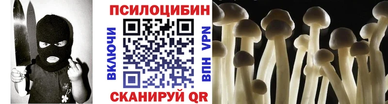Псилоцибиновые грибы прущие грибы  Чайковский 